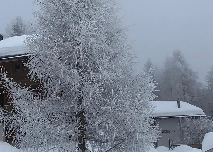 Tilly Apartment Bettmeralp